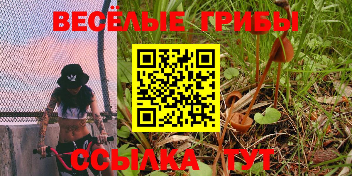 Галлюциногенные грибы MAGIC MUSHROOMS Солнечногорск